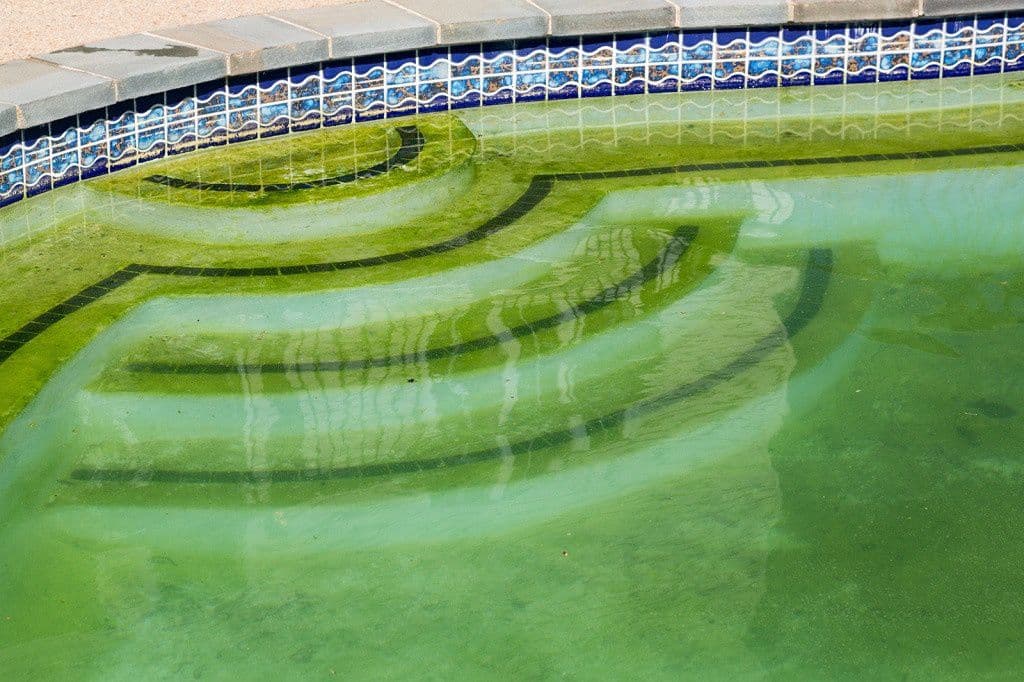 Green Pool Clean-up